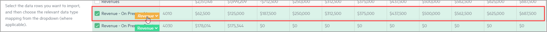 An example of a budget line type that has been changed and the type is displayed in italics.
